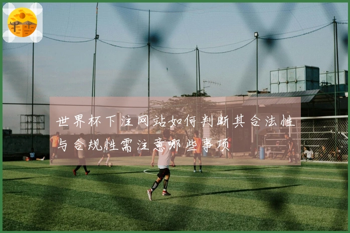 世界杯下注网站如何判断其合法性与合规性需注意哪些事项