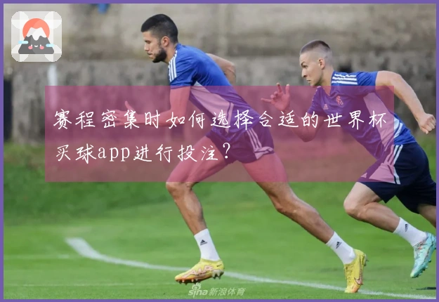 赛程密集时如何选择合适的世界杯买球app进行投注？