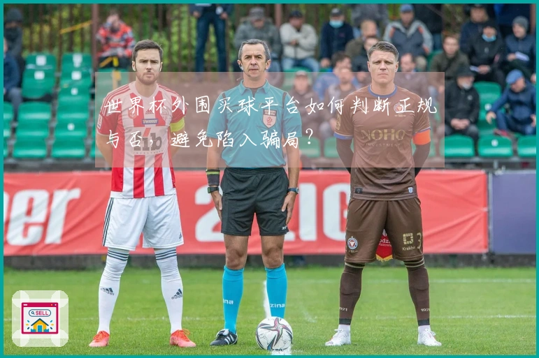 世界杯外围买球平台如何判断正规与否，避免陷入骗局？