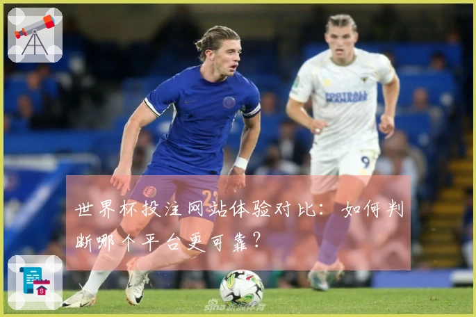 世界杯投注网站体验对比：如何判断哪个平台更可靠？