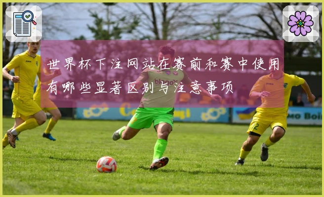 世界杯下注网站在赛前和赛中使用有哪些显著区别与注意事项