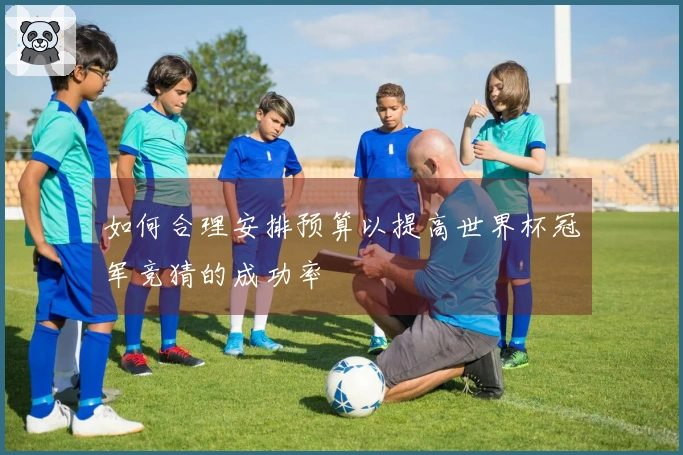 如何合理安排预算以提高世界杯冠军竞猜的成功率
