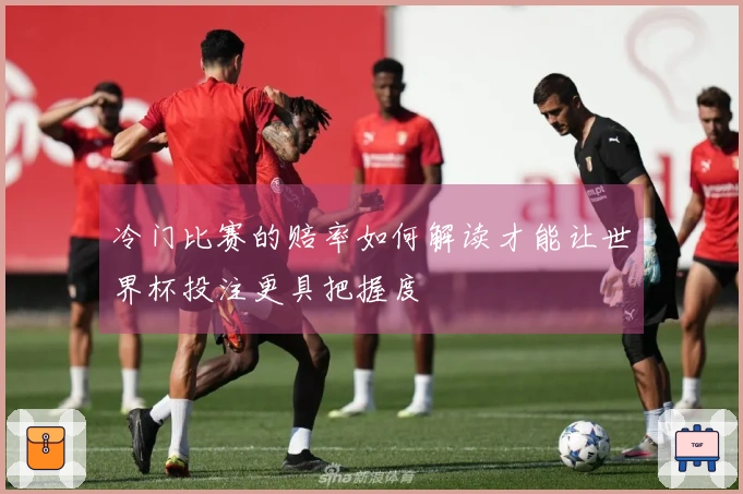 冷门比赛的赔率如何解读才能让世界杯投注更具把握度