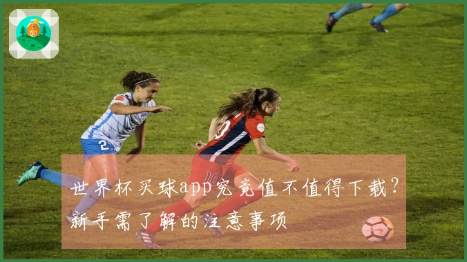 世界杯买球app究竟值不值得下载？新手需了解的注意事项
