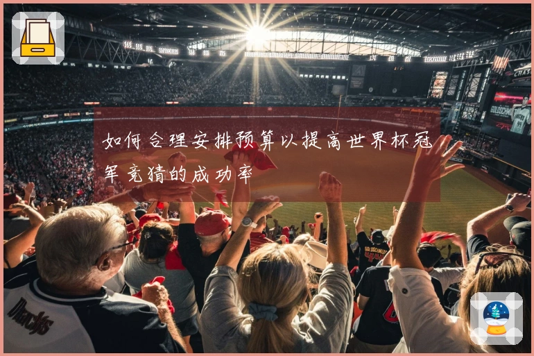 如何合理安排预算以提高世界杯冠军竞猜的成功率