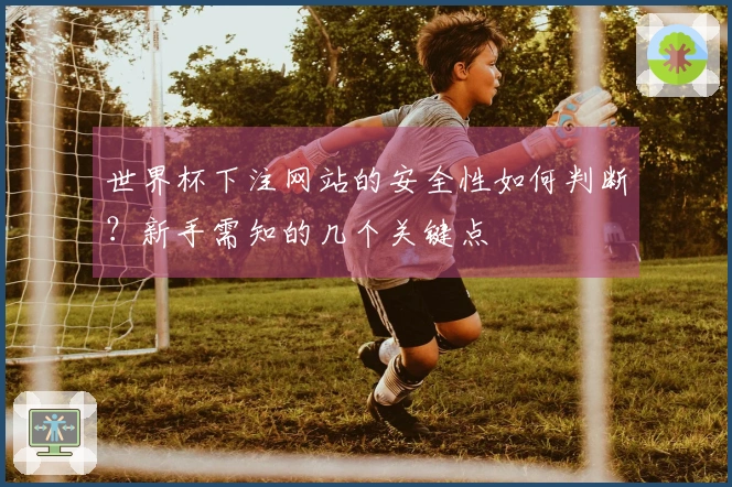 世界杯下注网站的安全性如何判断?新手需知的几个关键点