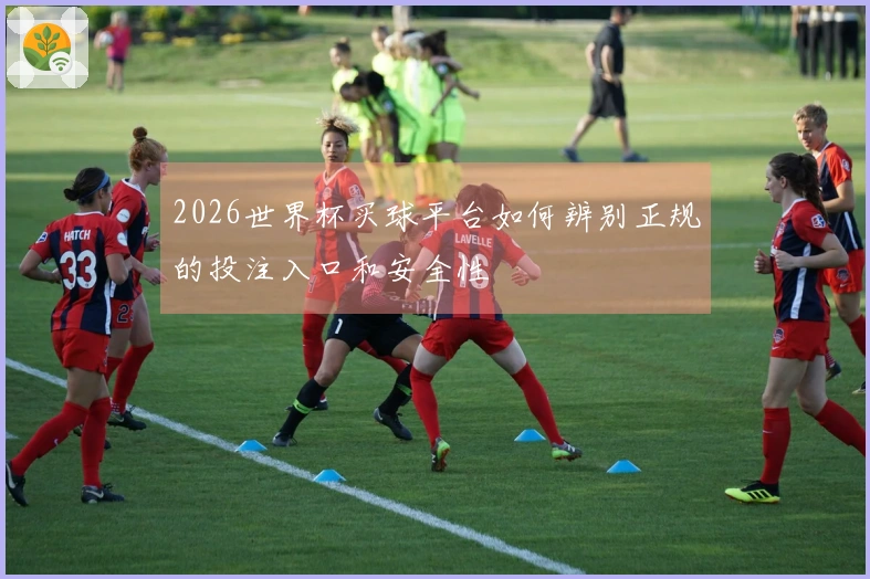 2026世界杯买球平台如何辨别正规的投注入口和安全性