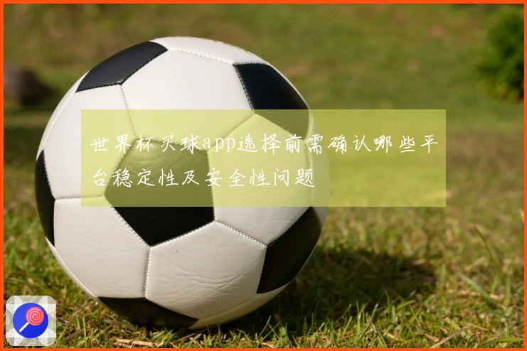 世界杯买球app选择前需确认哪些平台稳定性及安全性问题
