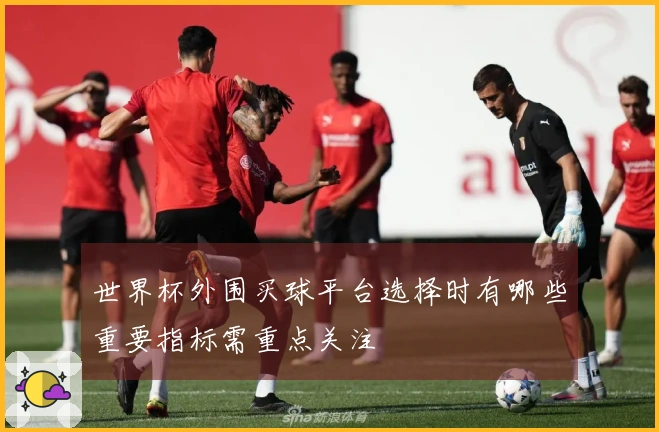 世界杯外围买球平台选择时有哪些重要指标需重点关注