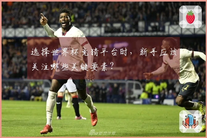 选择世界杯竞猜平台时，新手应该关注哪些关键要素？