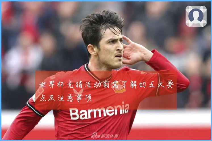 世界杯竞猜活动前需了解的五大要点及注意事项