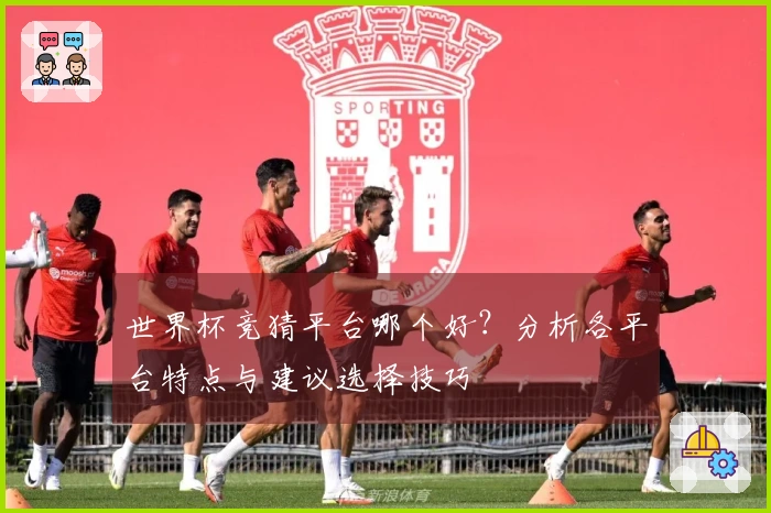 世界杯竞猜平台哪个好？分析各平台特点与建议选择技巧