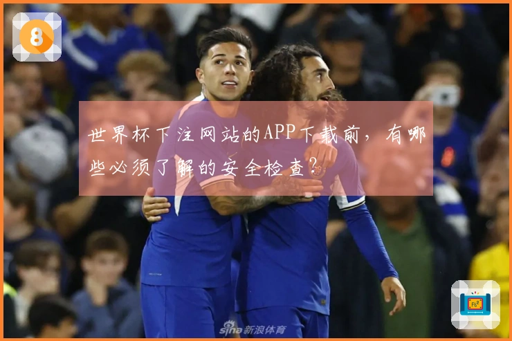 世界杯下注网站的APP下载前，有哪些必须了解的安全检查？