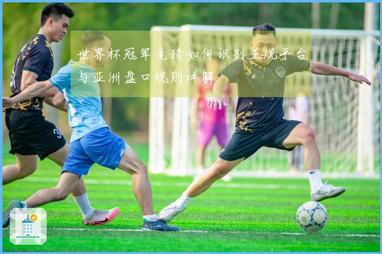 世界杯冠军竞猜如何识别正规平台与亚洲盘口规则详解