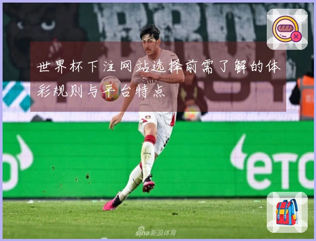 世界杯下注网站选择前需了解的体彩规则与平台特点
