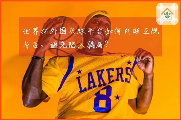 世界杯外围买球平台如何判断正规与否，避免陷入骗局？