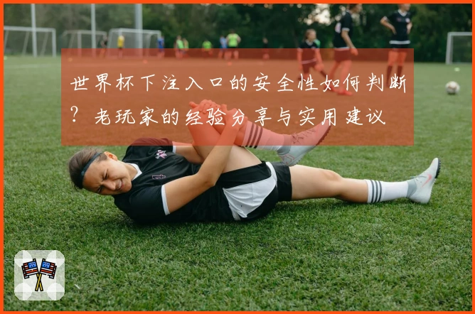 世界杯下注入口的安全性如何判断？老玩家的经验分享与实用建议