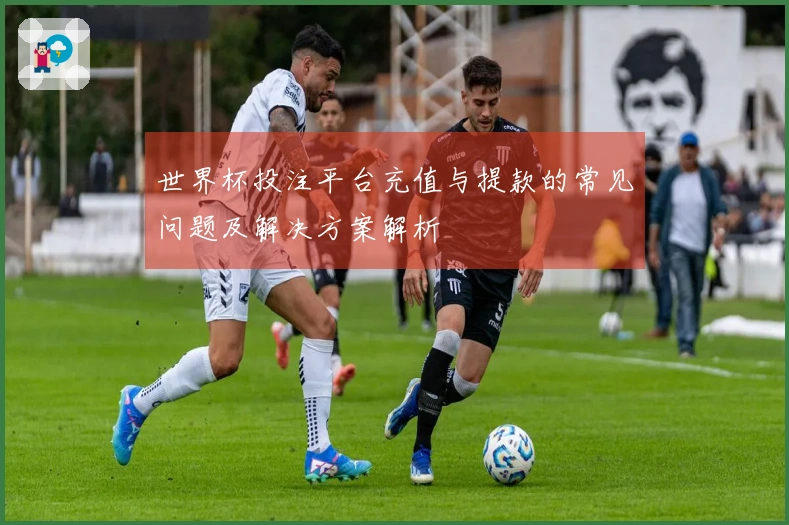 世界杯投注平台充值与提款的常见问题及解决方案解析
