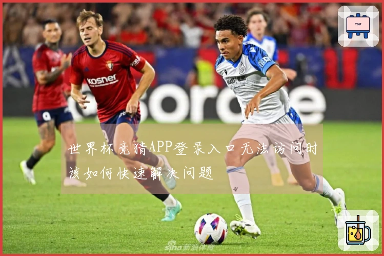 世界杯竞猜APP登录入口无法访问时该如何快速解决问题
