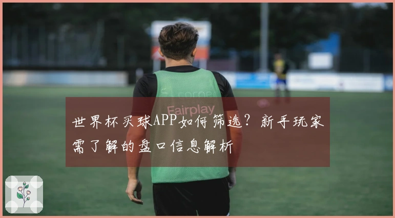 世界杯买球APP如何筛选？新手玩家需了解的盘口信息解析