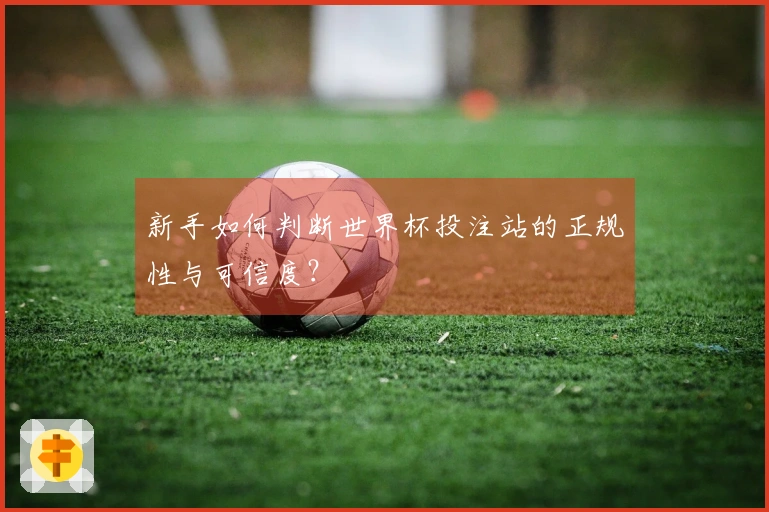 新手如何判断世界杯投注站的正规性与可信度？